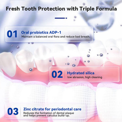 Oraliz™ Anti-Cavity Gum Health Toothpaste (Dentist Recommended)